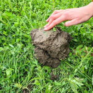 Foto soil clay